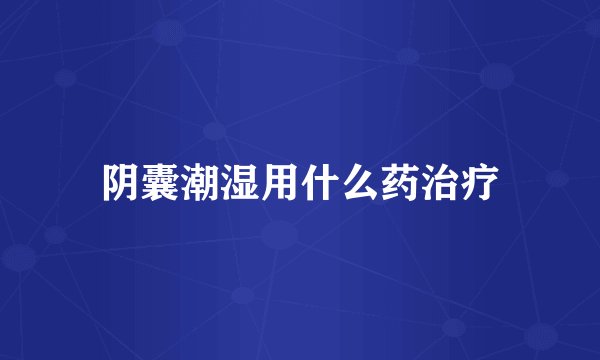 阴囊潮湿用什么药治疗