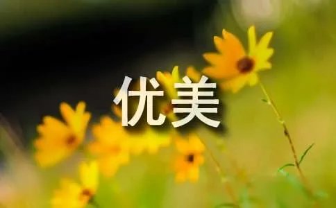 绝美之城优美句子
