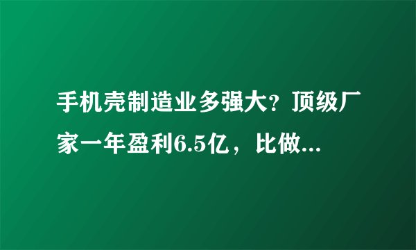 手机壳制造业多强大？顶级厂家一年盈利6.5亿，比做手机还挣钱