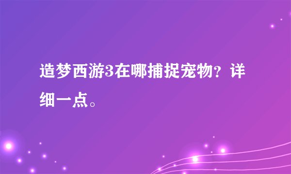 造梦西游3在哪捕捉宠物？详细一点。