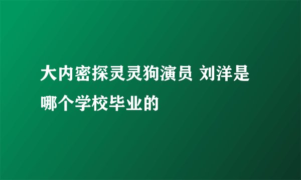 大内密探灵灵狗演员 刘洋是哪个学校毕业的