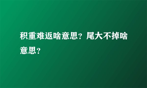 积重难返啥意思？尾大不掉啥意思？