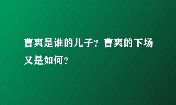 曹爽是谁的儿子？曹爽的下场又是如何？