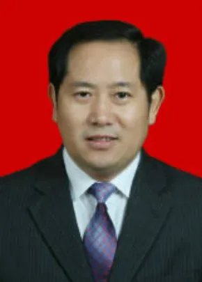 宣汉副县长