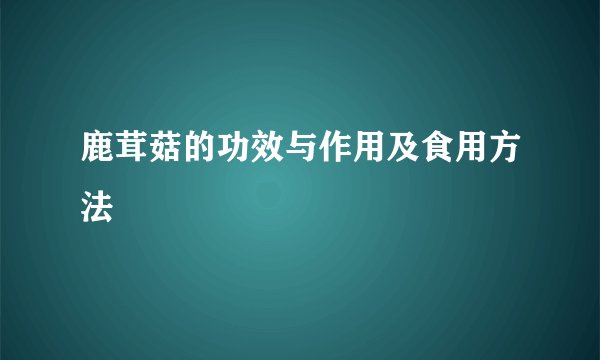 鹿茸菇的功效与作用及食用方法