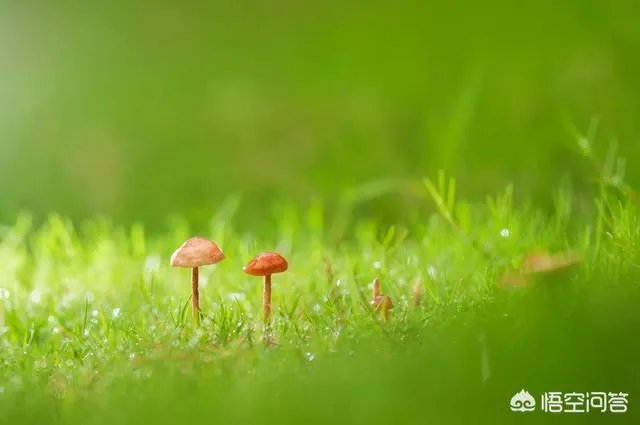 阴雨天如何拍出好照片？