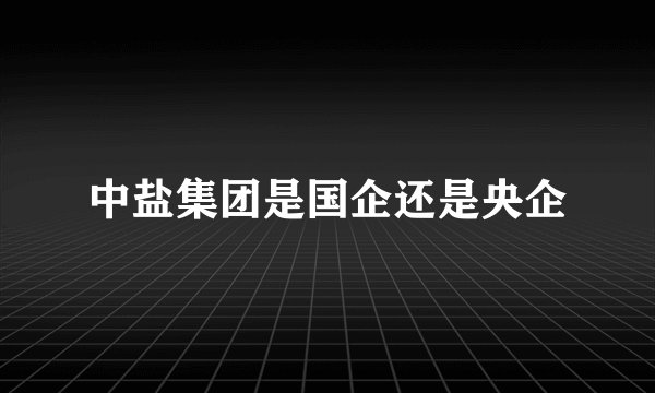 中盐集团是国企还是央企