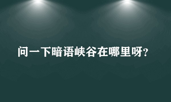 问一下暗语峡谷在哪里呀？