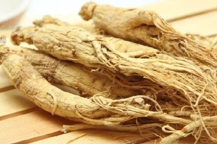 王精药材图片
