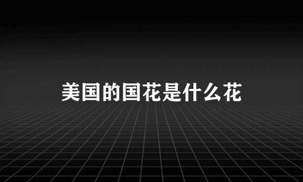 美国的国花是什么花