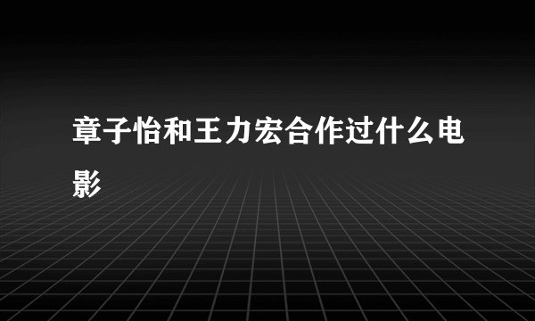章子怡和王力宏合作过什么电影