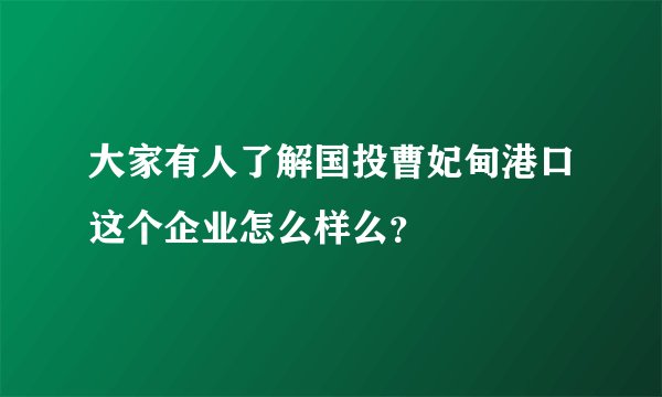 大家有人了解国投曹妃甸港口这个企业怎么样么？