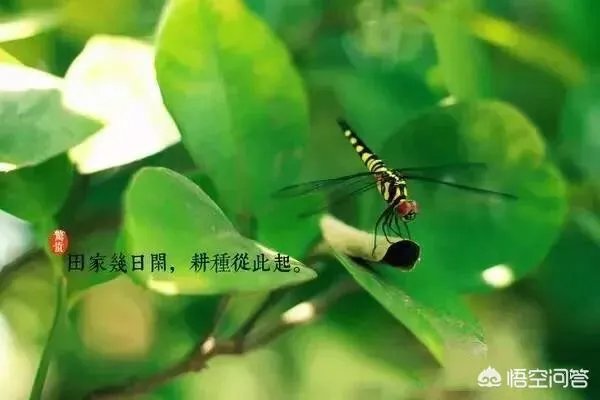 惊蛰是什么意思？