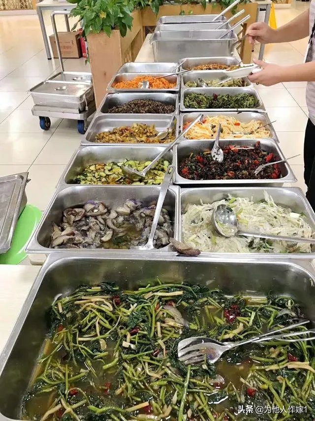 你的工作餐好吗?晒晒你们的工作餐?