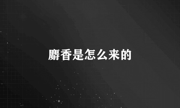 麝香是怎么来的
