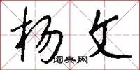 杨文