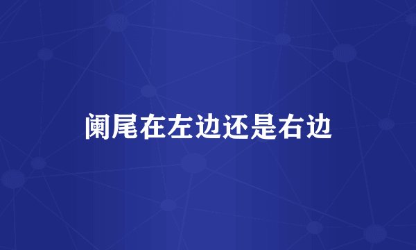 阑尾在左边还是右边