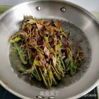 腌香椿芽