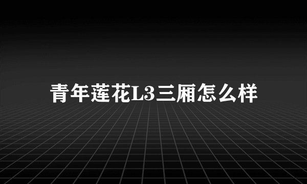 青年莲花L3三厢怎么样