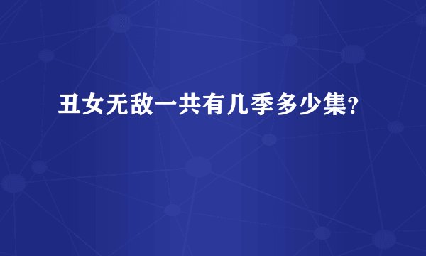 丑女无敌一共有几季多少集？