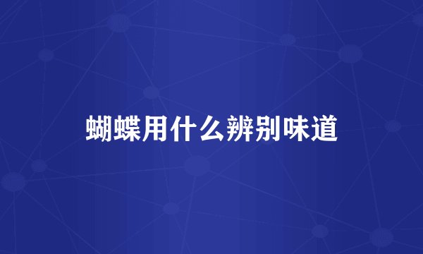 蝴蝶用什么辨别味道
