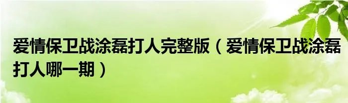 爱情保卫战涂磊打人完整版（爱情保卫战涂磊打人哪一期）