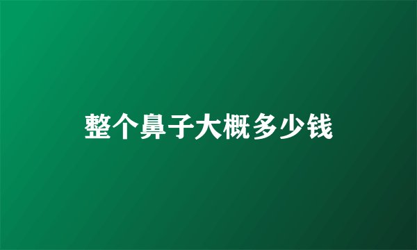 整个鼻子大概多少钱