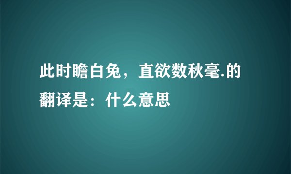 此时瞻白兔，直欲数秋毫.的翻译是：什么意思