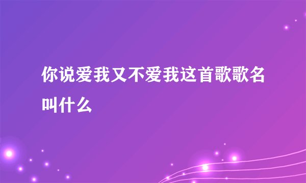 你说爱我又不爱我这首歌歌名叫什么