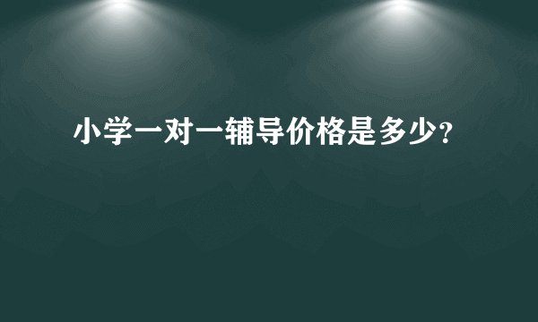 小学一对一辅导价格是多少？