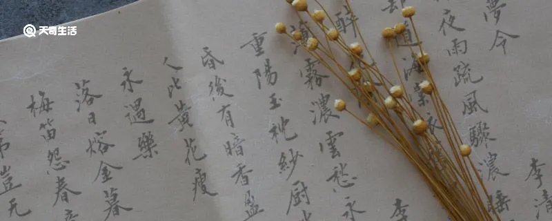 跖怎么读