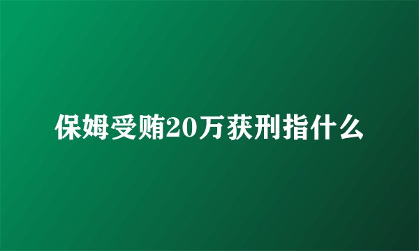 保姆受贿20万获刑指什么