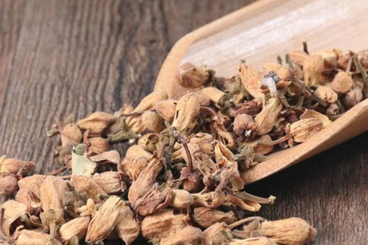 玳玳花的图片