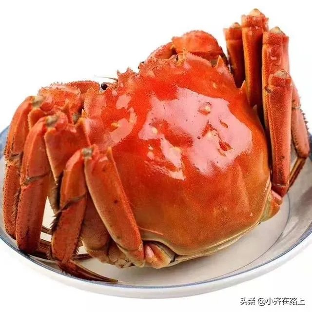 中秋节到了要送礼,如何才能团购到正宗阳澄湖大闸蟹?