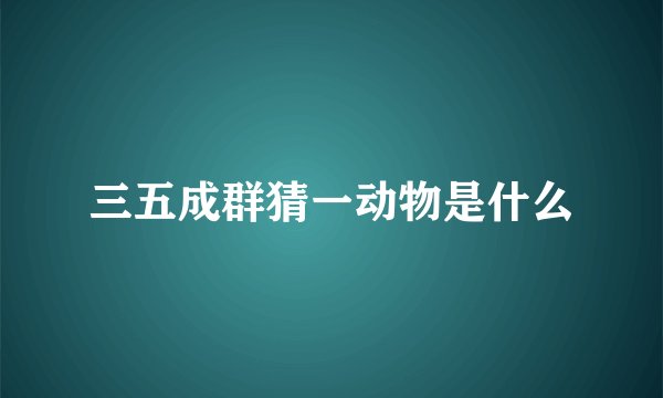 三五成群猜一动物是什么