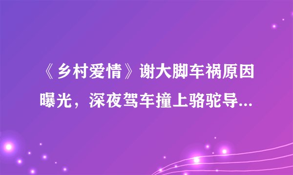 《乡村爱情》谢大脚车祸原因曝光,深夜驾车撞上骆驼导致车祸!
