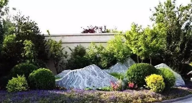 庭院里的这一方石头,历经千年,大有讲究
