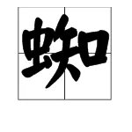 蜘组词
