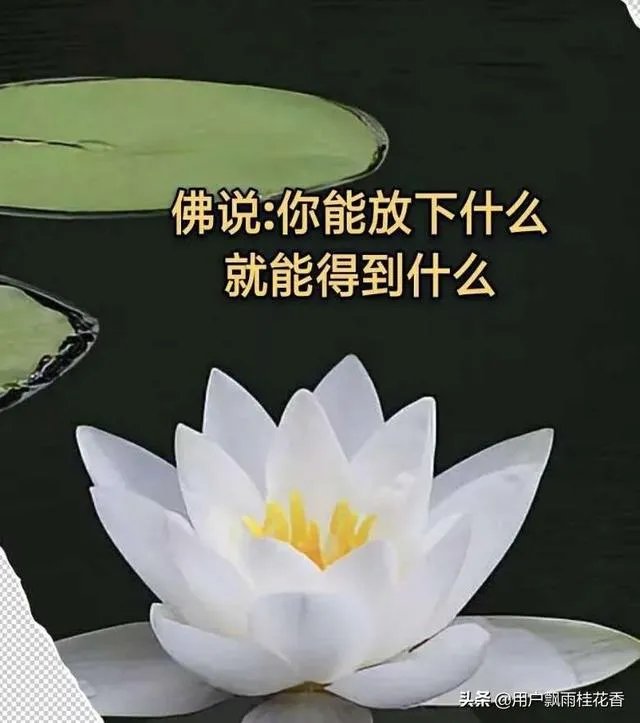 你见过级别最低的却又很伟大的荣誉证书是什么?