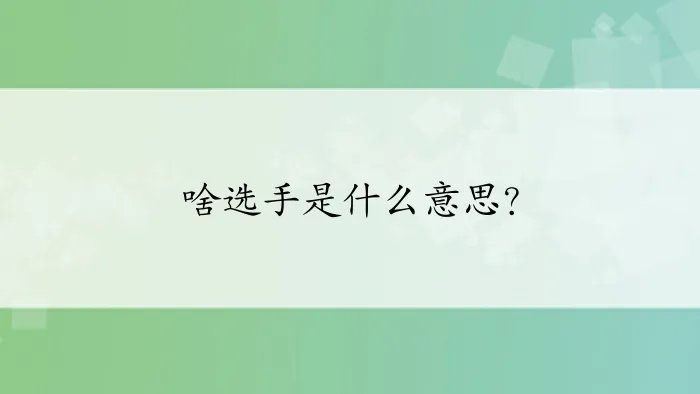 啥选手是什么意思?
