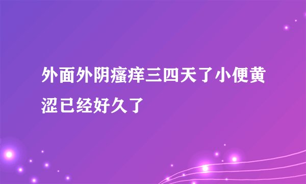 外面外阴瘙痒三四天了小便黄涩已经好久了