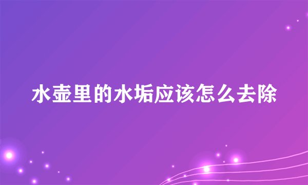 水壶里的水垢应该怎么去除