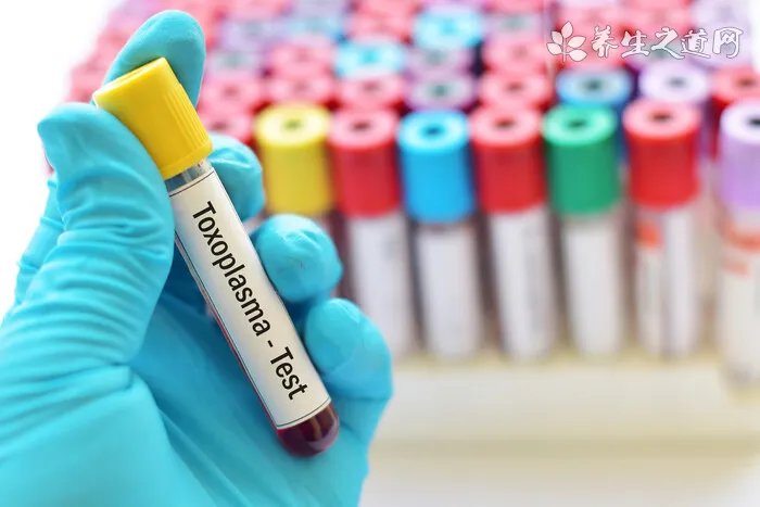 心理学非全日制研究生就业前景怎么样?