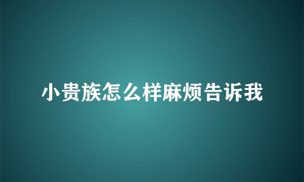 小贵族怎么样麻烦告诉我