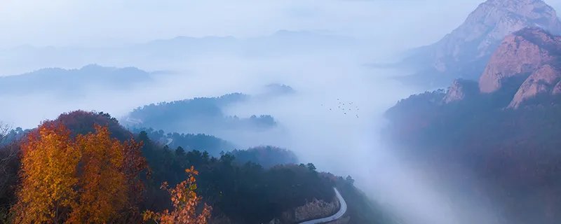 守护森林不被白蚁破坏的是什么