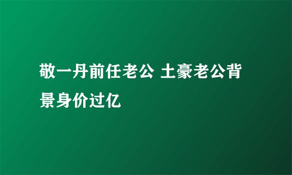 敬一丹前任老公 土豪老公背景身价过亿