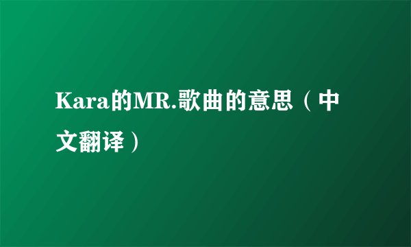 Kara的MR.歌曲的意思(中文翻译)
