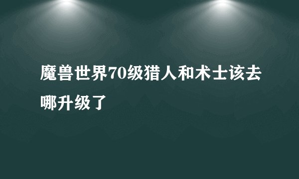 魔兽世界70级猎人和术士该去哪升级了