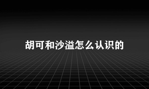 胡可和沙溢怎么认识的