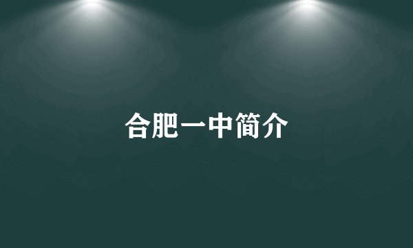 合肥一中简介
